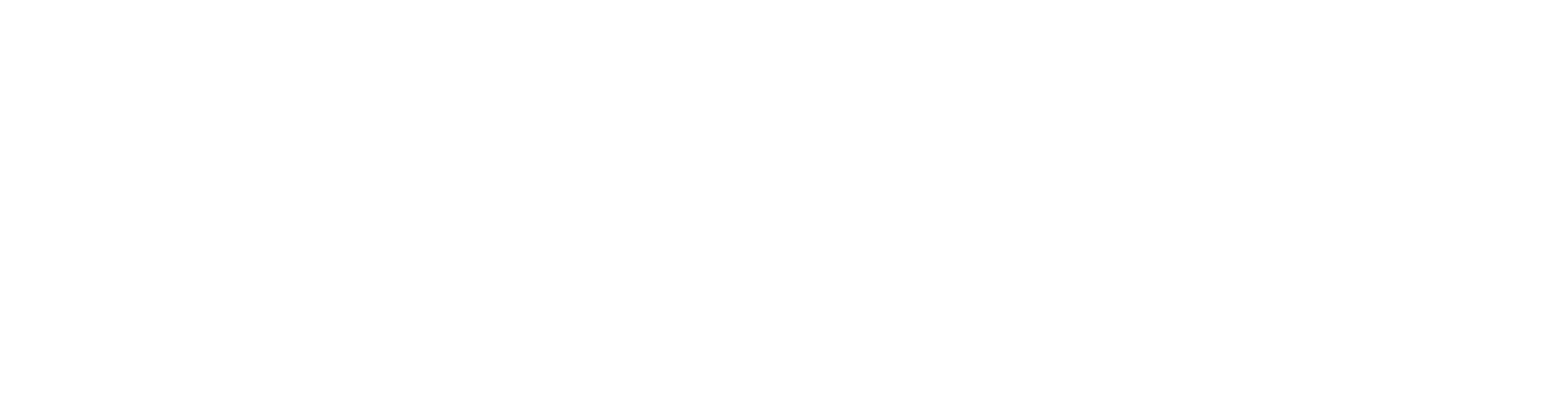 海龟护航